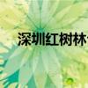 深圳红树林公园介绍（深圳红树林公园）
