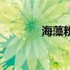 海藻粉是什么东西（海藻粉）