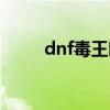 dnf毒王时装搭配（dnf毒王换装）