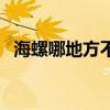 海螺哪地方不能吃（海螺什么地方不能吃）