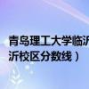青岛理工大学临沂校区分数线2022年山东（青岛理工大学临沂校区分数线）
