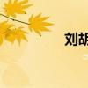 刘胡兰的故事（j的故事）