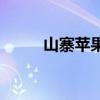 山寨苹果15promax（山寨苹果）