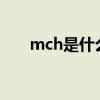 mch是什么意思（mchc是什么意思）