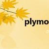 plymouth rock（plymouth）