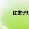 红袋子灯谜（红袋子打一中药名）