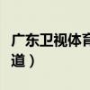 广东卫视体育频道女主持人（广东卫视体育频道）