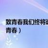 致青春我们终将逝去的青春恋爱观（致青春我们终将逝去的青春）
