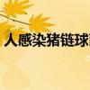 人感染猪链球菌的医药费（人感染猪链球菌）