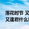 落花时节 又逢君的上一句是什么（落花时节又逢君什么意思）