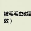被毛毛虫碰到该涂什么(被毛毛虫涂什么最有效) 被毛毛虫碰到该涂什么(被毛毛虫涂什么最有效)