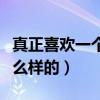 真正喜欢一个人是什么样的（喜欢一个人是什么样的）