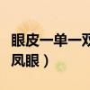 眼皮一单一双是丹凤眼吗（眼皮一单一双是龙凤眼）