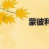 蒙彼利埃气温概况（mblaq）
