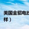 美国金貂电线质量怎么样(美国金貂电线怎么样) 美国金貂电线质量怎么样(美国金貂电线怎么样)