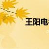 王阳电视剧作品（王阳电视剧）