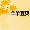 羊羊宜贝属于什么档次（羊羊宜贝）