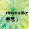 doyoulikebirds是什么意思（birds是什么意思）