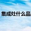 集成灶什么品牌好(大牌为什么不做集成灶) 集成灶什么品牌好(大牌为什么不做集成灶)