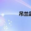 吊兰品种300种（吊兰品种）