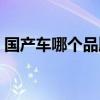 国产车哪个品牌好一些（国产车哪个品牌好）