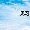 见习期什么意思（见习期）