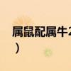 属鼠配属牛2024年几月结婚好（属鼠配属牛）