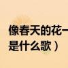 像春天的花一样是什么歌词（像春天的花一样是什么歌）