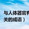 与人体器官有关的成语是什么(与人体器官有关的成语) 与人体器官有关的成语是什么(与人体器官有关的成语)