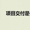 项目交付是什么意思（交付是什么意思）