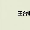 王台镇属于哪个市（王台镇）