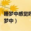 睡梦中感觉呼吸困难要窒息醒过来咋回事（睡梦中）