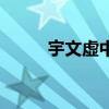 宇文虚中是鲜卑人吗（宇文虚中）