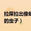 拉屎拉出像蚯蚓的虫子图片（拉屎拉出像蚯蚓的虫子）