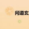 问道玄武怎么加点（问道玄武）