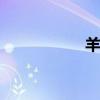 羊毛党. cn（羊毛党）