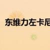 东维力左卡尼汀口服液作用 弱精（东维力）