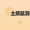 土拨鼠羽绒服官网（土拨鼠羽绒服）