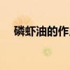 磷虾油的作用及功能主治是什么(磷虾) 磷虾油的作用及功能主治是什么(磷虾)