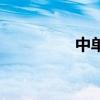 中单法师刘海柱（中单）