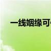 一线姻缘可信吗（一线姻缘骗了多少人）