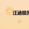 汪涵很厉害吗（感觉汪涵很可怕）