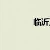 临沂卫康集团（卫康集团）