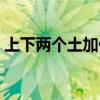 上下两个土加偏旁组新字（土加偏旁组新字）