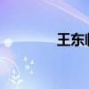 王东临的2023年（王东临）