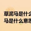 草泥马是什么意思为什么所有人都爱骂（草泥马是什么意思）