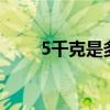 5千克是多少斤（25千克是多少斤）