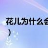 花儿为什么会开的主要内容（花儿为什么会开）