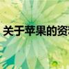 关于苹果的资料简单介绍（关于苹果的资料）