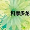 科摩多龙越野房车价格（科摩多龙）